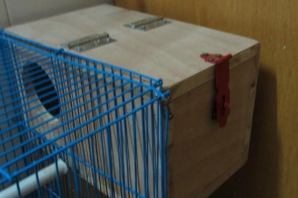 虎皮鹦鹉孵化箱制作方法