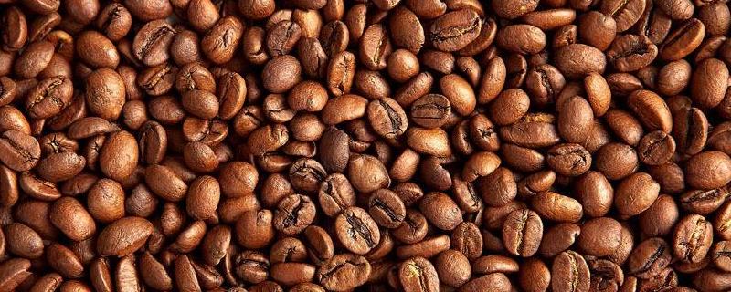 咖啡豆种植技术，适时播种，定期喷洒药物