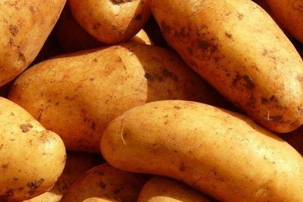 土豆发电原理是什么