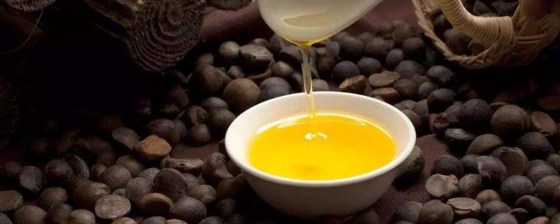 茶油多少钱一斤，如何鉴别