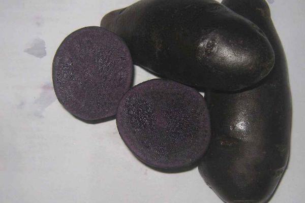 黑土豆多少钱一斤
