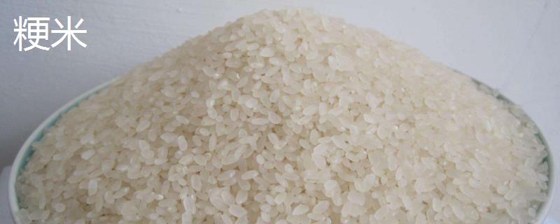 粳米和大米的区别，大米的分类
