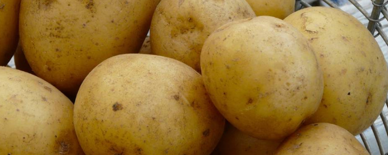 土豆可以放冰箱保存吗？怎么保存不发绿不长牙