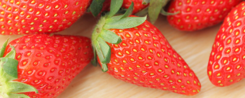 草莓什么时间种植好，草莓种植方法