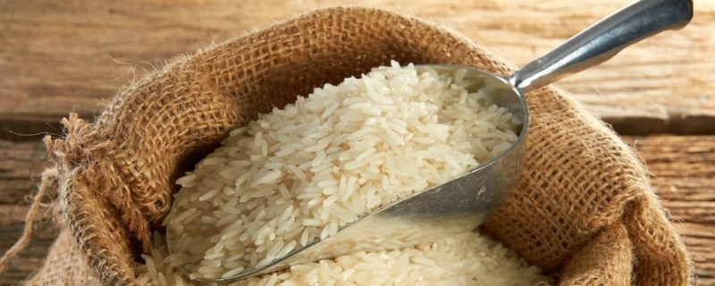 大米批发价多少钱一斤？4月稻米会涨价吗