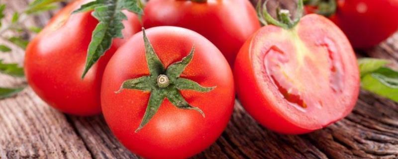 怎样合理防治番茄病毒病，注意要施脚底肥