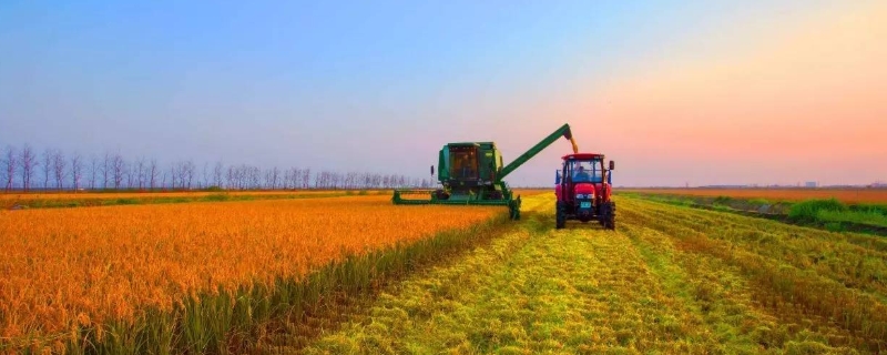 中国农业未来发展趋势，有机农业将迎来巨大发展