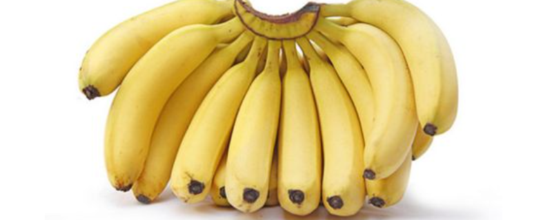 海南香蕉什么时候成熟，海南香蕉的种类