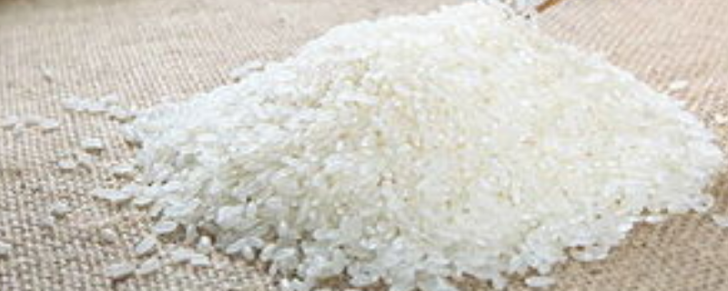 大米发霉了还能不能吃，辨别和防止大米发霉的方法