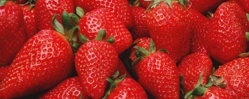草莓长了白毛还能不能吃，哪些草莓不能吃