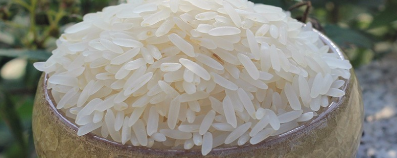 大米生小白虫有什么应对措施，大米怎么保存