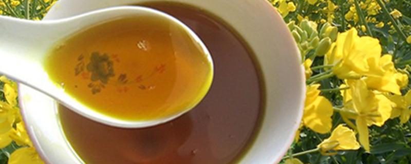 过期的菜籽油是否还可以吃，如何避免菜籽油过期