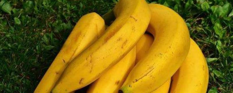 香蕉的催熟方法，附香蕉的食用禁忌
