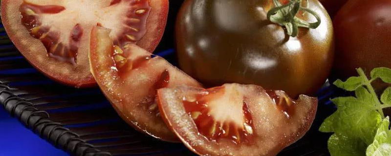 黑番茄是转基因的吗？原产地在哪