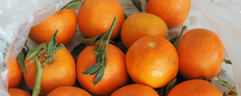 柑橘的存储方法有哪些？附柑橘的保鲜方法