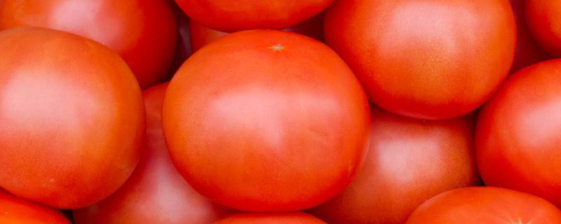 西红柿是水果还是蔬菜？与圣女果有什么区别