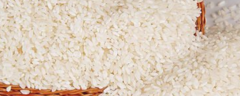 夏季怎样防治稻米中的害虫，有以下三种方法