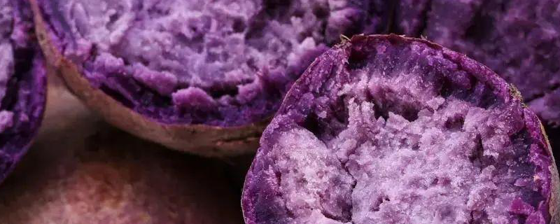 紫薯的种植时间，种植环境是什么样的