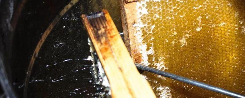 常见蜜蜂养殖工具是什么？