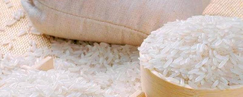 粳米是什么米？附粳米和大米的区别