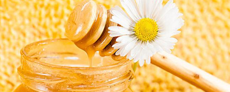 中蜂和意蜂的蜜哪个好，详细介绍