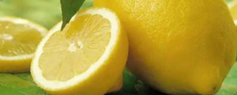 青柠檬和黄柠檬的区别，附区别方法