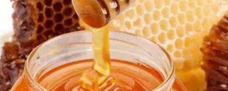 蜜蜂吃白糖会产蜂蜜吗，附注意事项