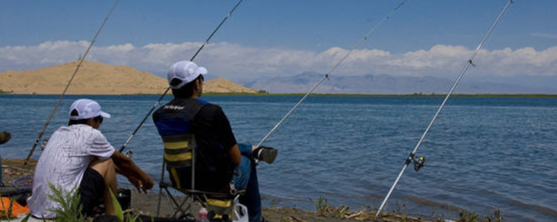 钓鱼怎么选择钓位？从季节、时间、水域、水情等方面进行分析