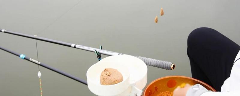 秋季钓鲤鱼用什么味型的饵料？具体有哪些