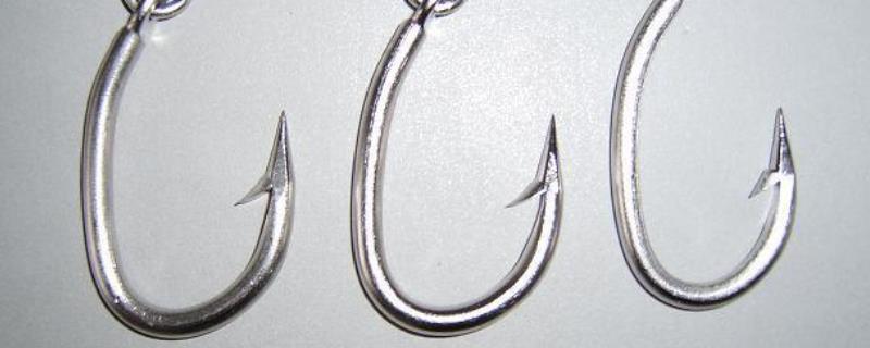 伊豆鱼钩型号及对应鱼大小，附其钩型特点