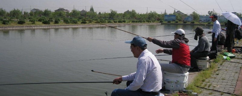 传统钓多长的鱼竿合适，线组、浮漂、钓饵如何选择