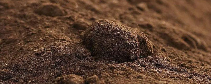 黏质土壤的特点是什么，种植什么比较好
