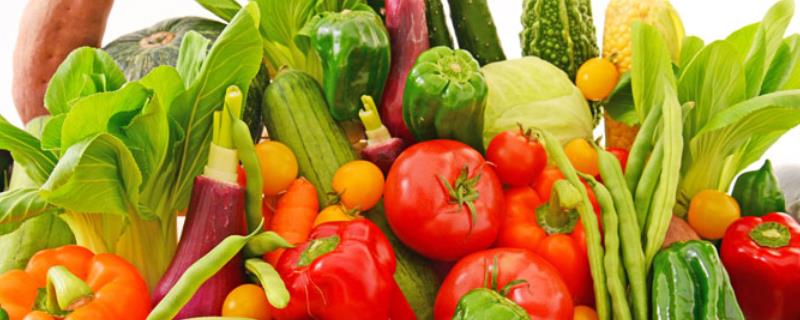 各类蔬菜雨季管理方法，附各类蔬菜的管理要点