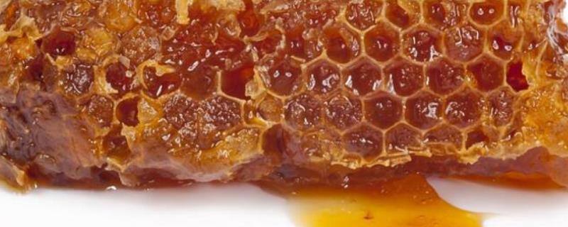 蜂胶是什么东西制作的，附其外观特征 