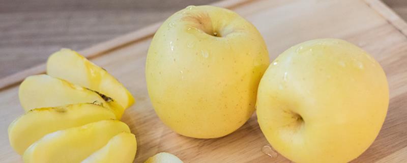 维纳斯黄金苹果怎样种植，附其特性