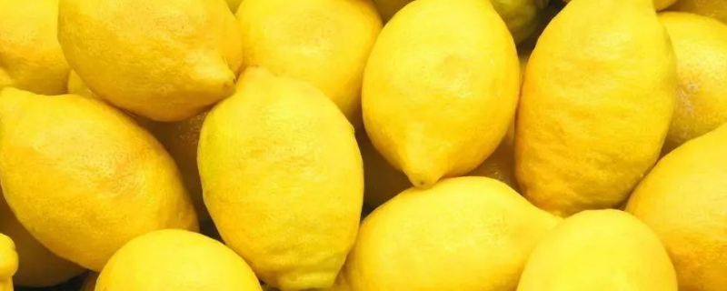 柠檬籽盆栽怎么种，柠檬的正确吃法有哪些