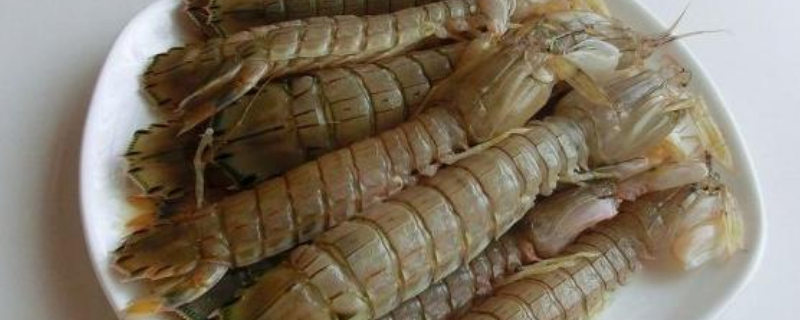 皮皮虾的上市时间，皮皮虾的营养价值有哪些