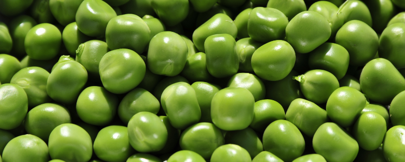豌豆和黄豆有什么不同，从科属、起源、别名、外观上区分