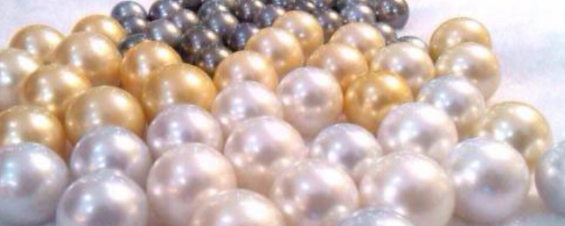 南洋珍珠产自哪里，有哪些种类