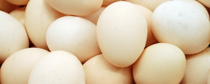 人造鸡蛋和真鸡蛋有什么不同，美国人造鸡蛋的价格是多少