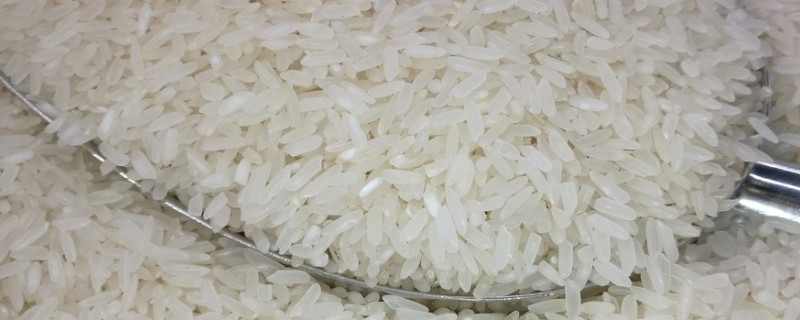 油粘米属于哪种米，油粘米的种植技术是怎样的