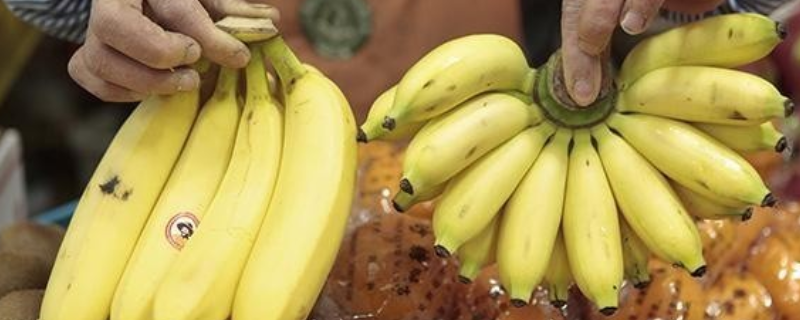 香蕉皮变黑了还能不能吃，香蕉怎么保存
