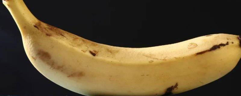 香蕉皮变黑了还能不能吃，防止香蕉变黑的方法