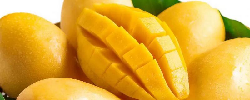 变软了的芒果还能不能吃，芒果主要有哪些品种