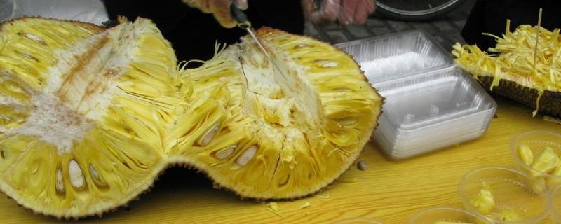 菠萝蜜应该如何剥，菠萝蜜的果核能吃吗