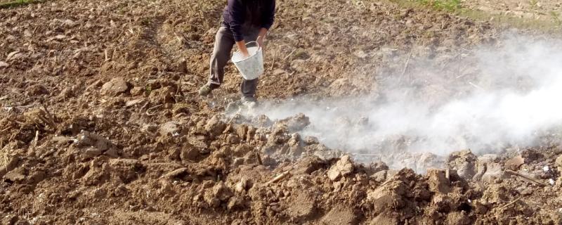 熟石灰能不能改良酸性土壤