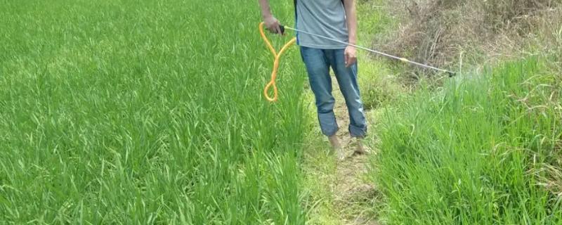 水稻田埂除草剂的配方