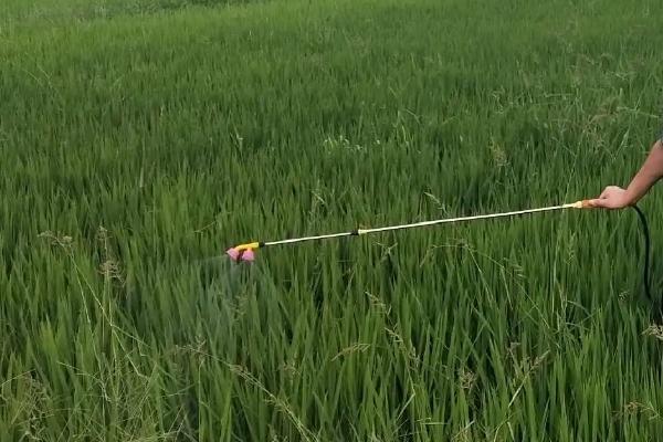 水稻田埂除草剂的配方