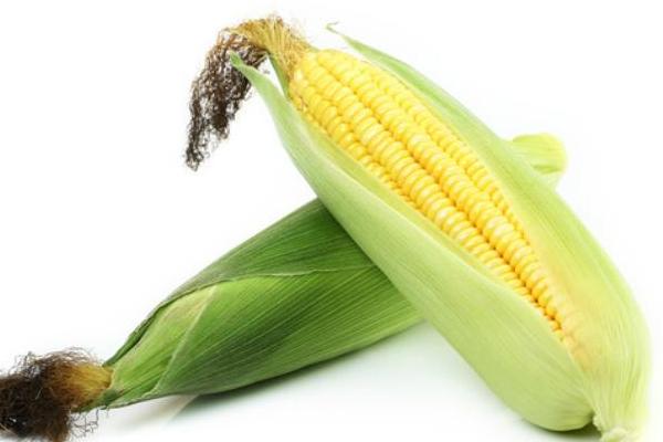 登海618玉米种子简介
