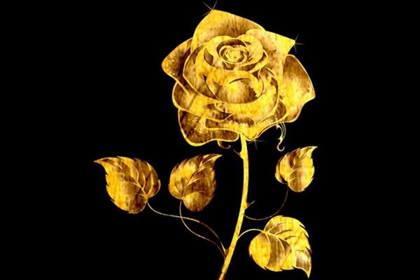 金色玫瑰的花语是什么意思